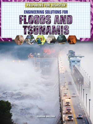 cover image of Engineering Solutions for Floods and Tsunamis